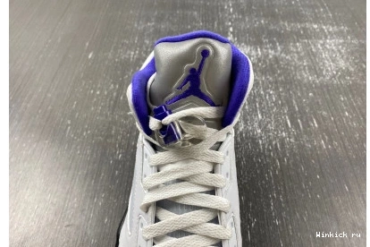 Jordan Dark Concord Retro 5 1013